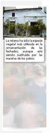 Fiestas Locales de Agudo